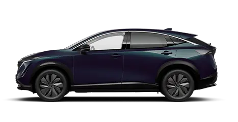 ariya advance plus